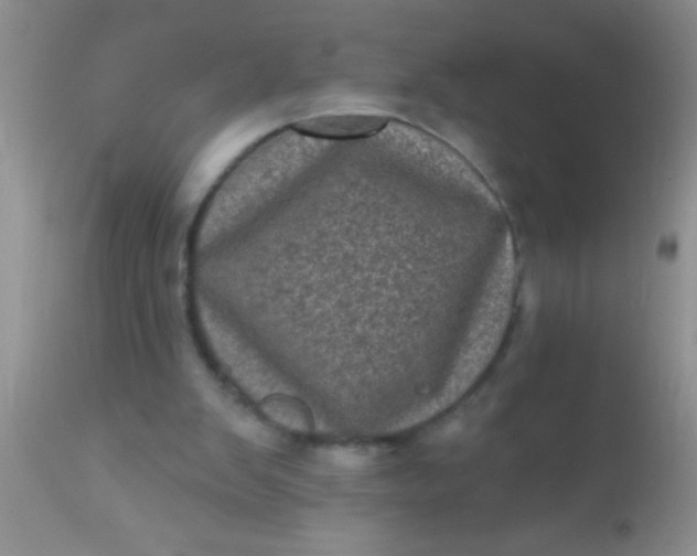 X0000110940103200907022142