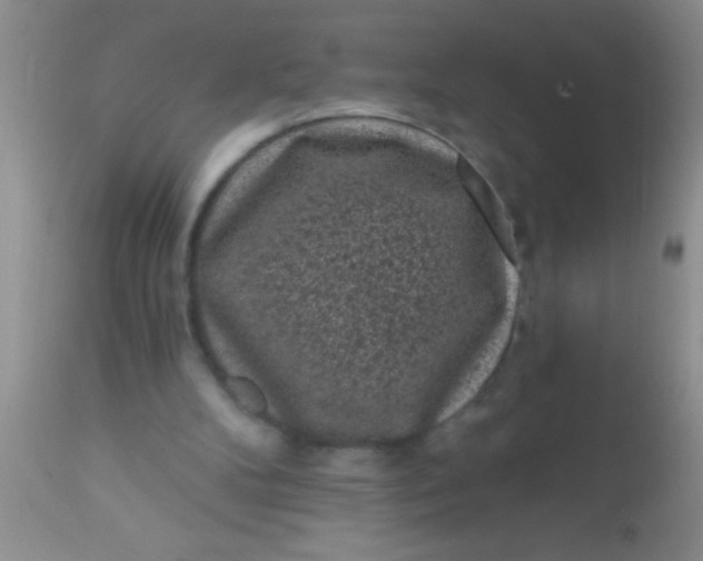 X0000110940104200907022142