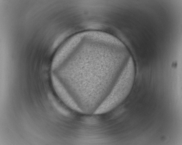 X0000110940106200907022142