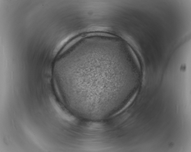 X0000110940107200907022142