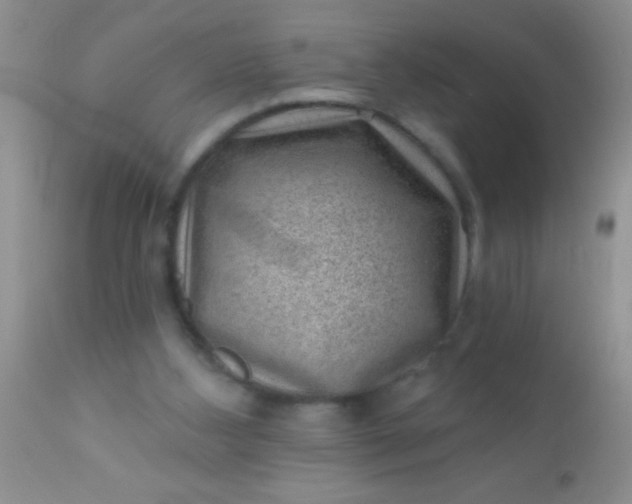 X0000110940108200907022142