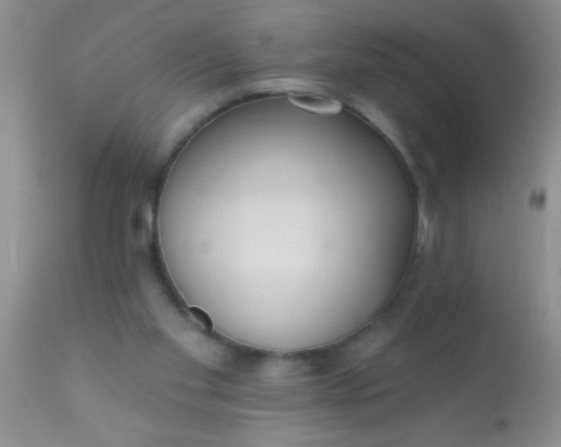 X0000110940109200907022142