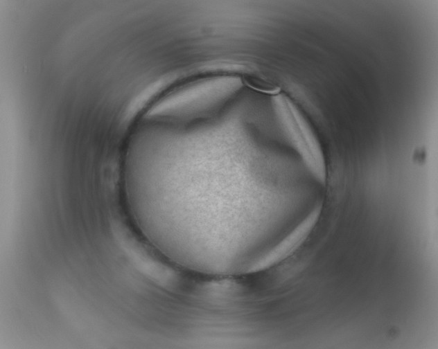 X0000110940112200907022142