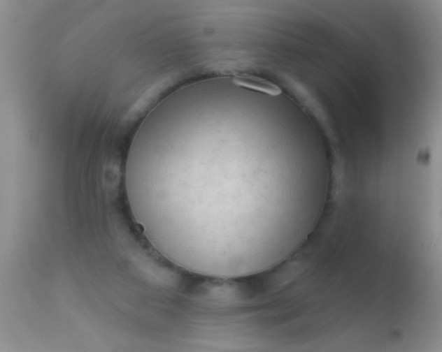 X0000110940113200907022142