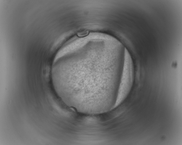 X0000110940115200907022142