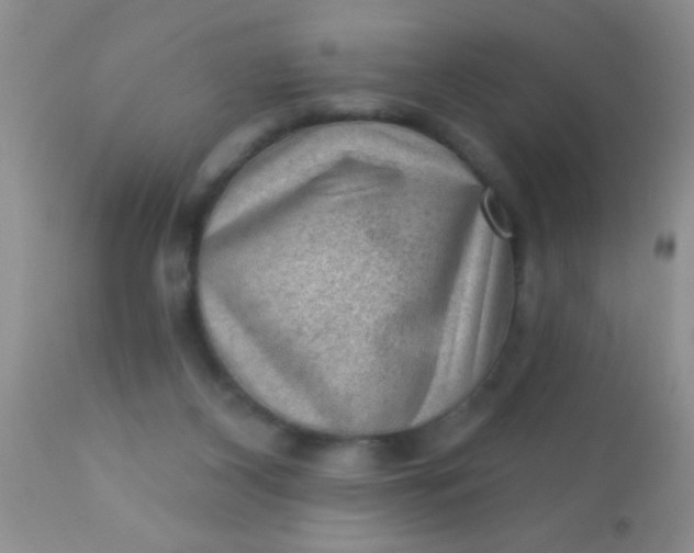 X0000110940116200907022142