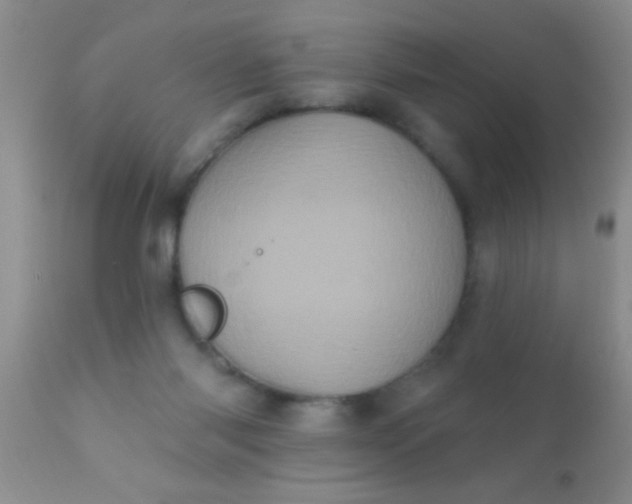 X0000110940118200907022142