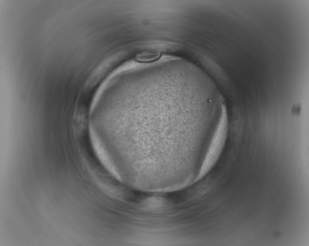 X0000110940119200907022142