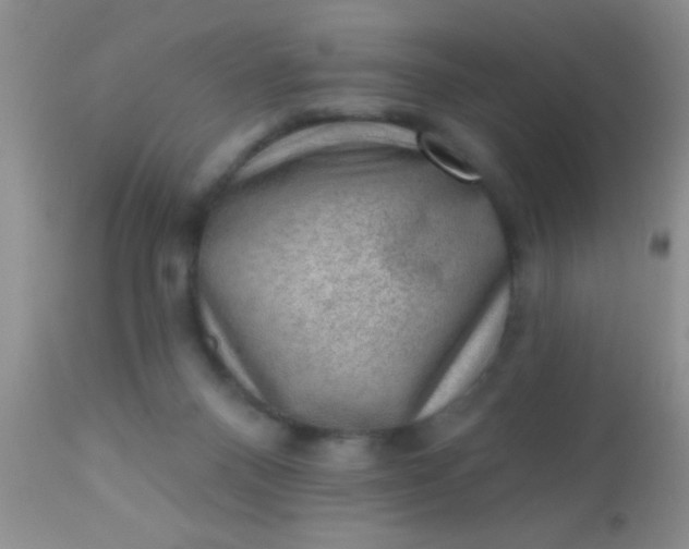 X0000110940120200907022142