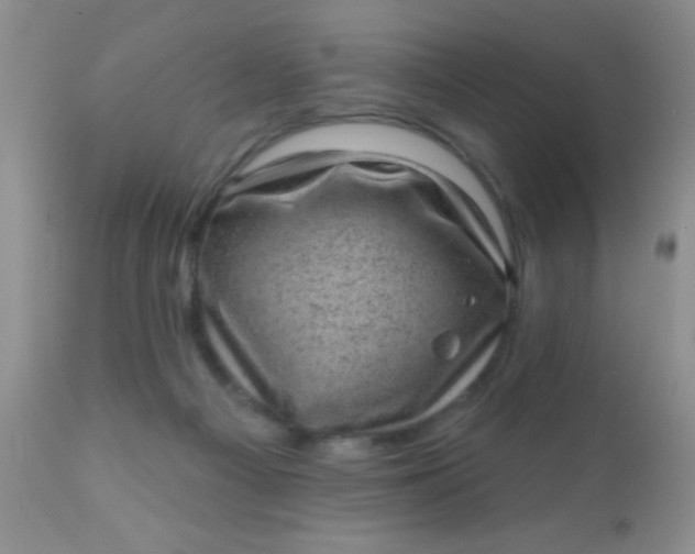 X0000110940121200907022142