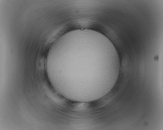 X0000110940122200907022142