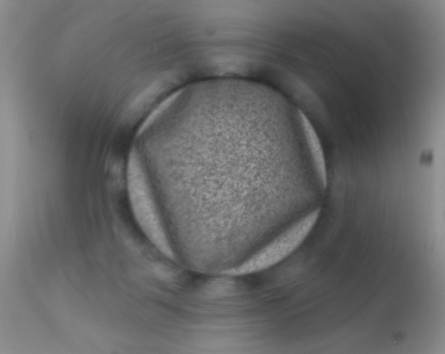 X0000110940123200907022142