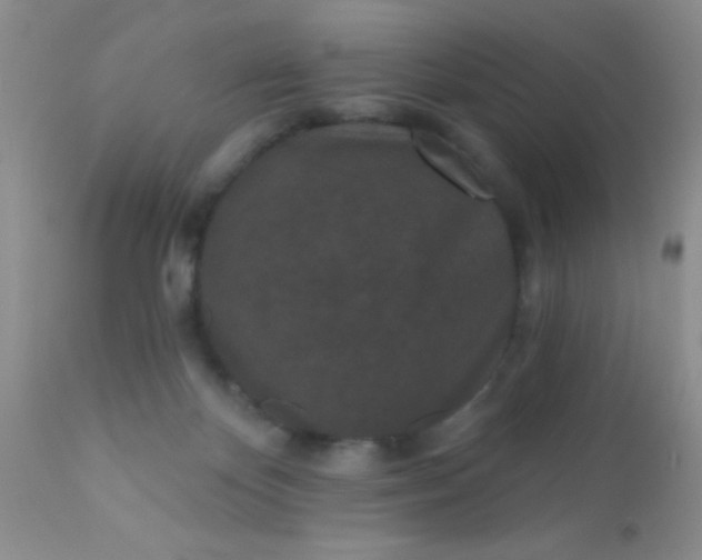 X0000110940124200907022142