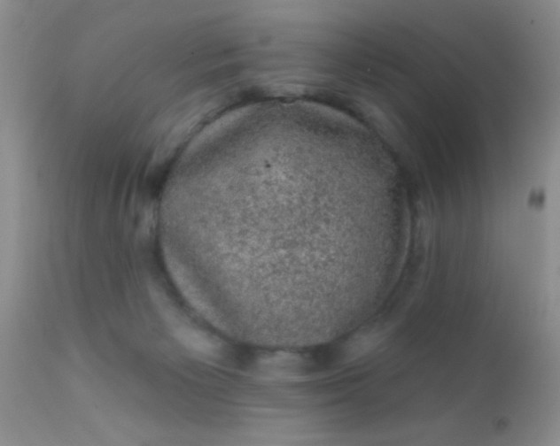 X0000110940125200907022142