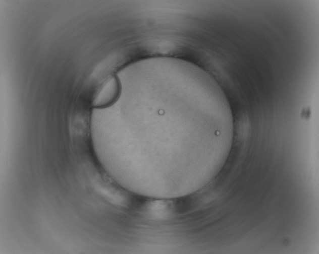 X0000110940126200907022142