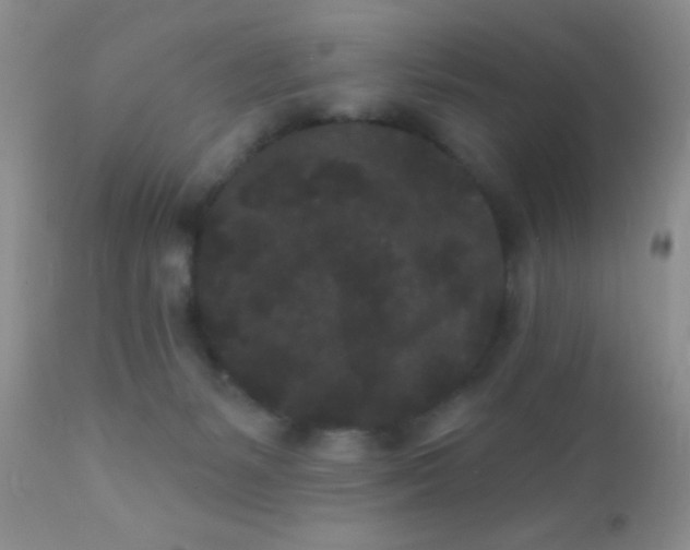 X0000110940127200907022142