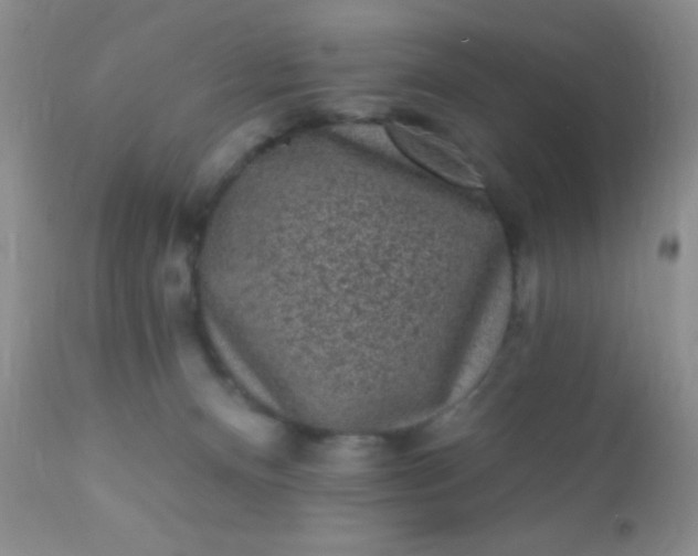 X0000110940128200907022142