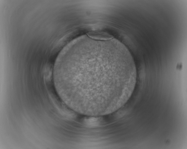 X0000110940129200907022142