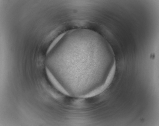 X0000110940132200907022142