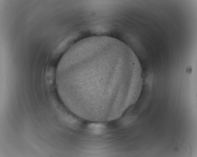 X0000110940133200907022142