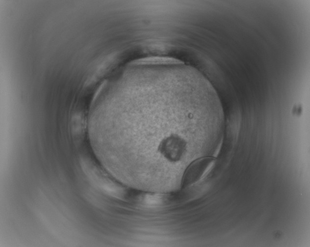 X0000110940134200907022142