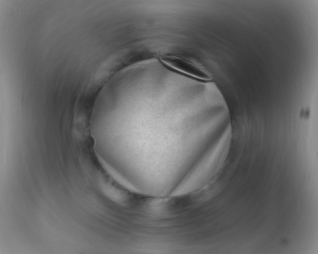 X0000110940136200907022142