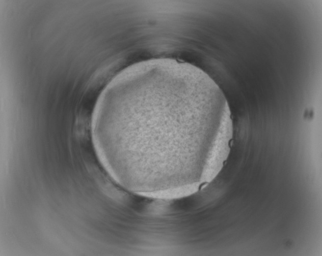 X0000110940138200907022142