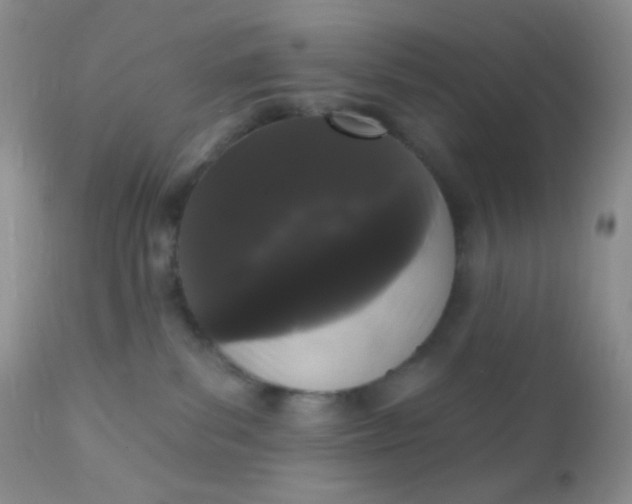 X0000110940139200907022142