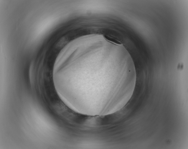 X0000110940140200907022142