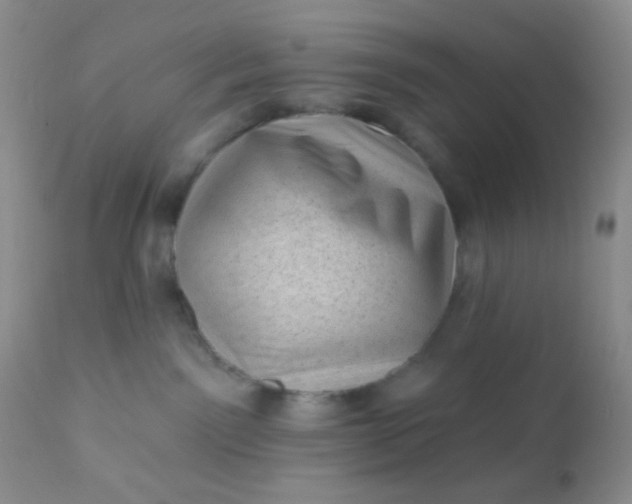 X0000110940141200907022142