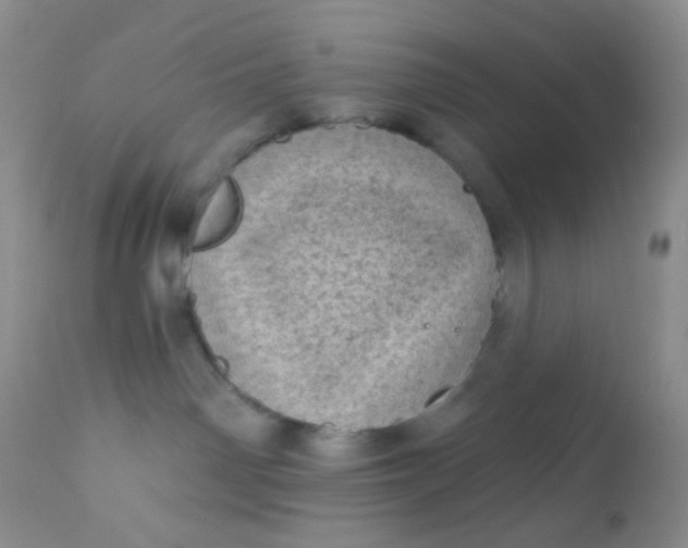 X0000110940142200907022142