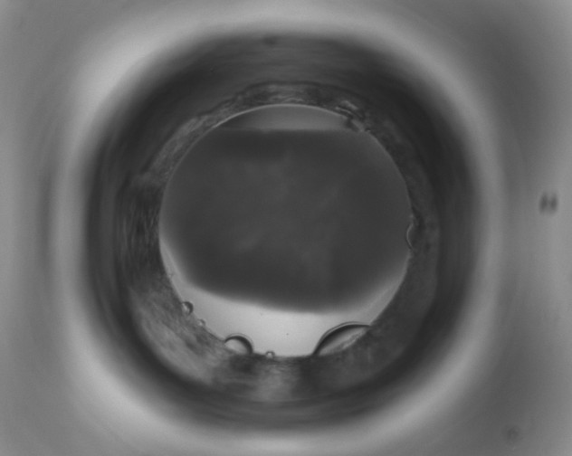 X0000110940143200907022142