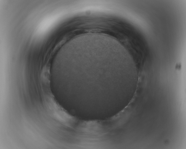 X0000110940146200907022141