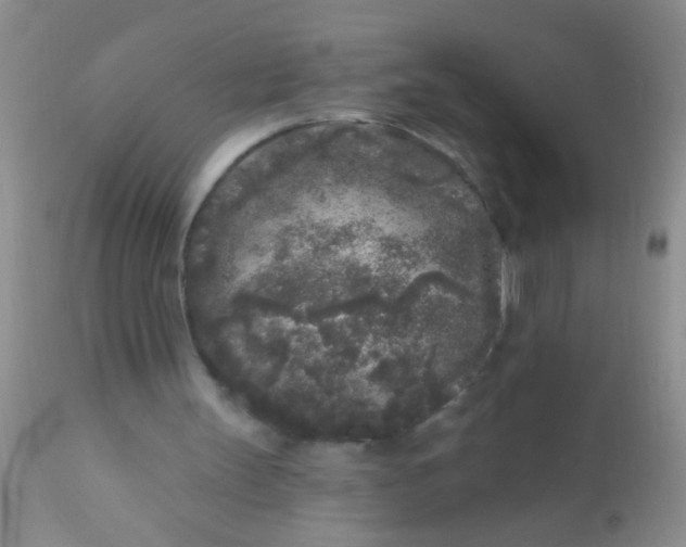 X0000110940147200907022141