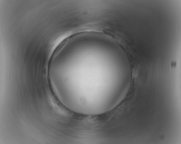 X0000110940148200907022141