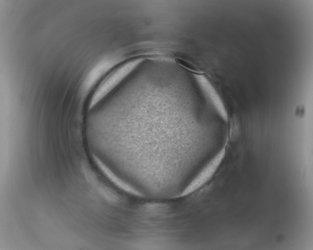 X0000110940150200907022141