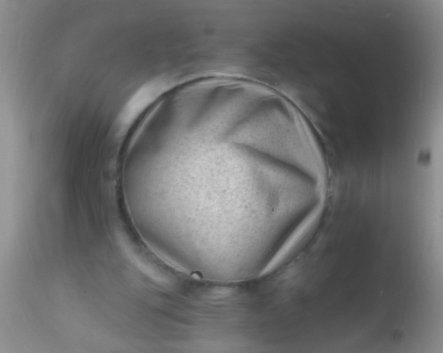 X0000110940151200907022141