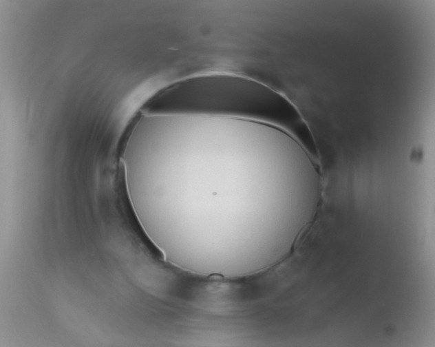 X0000110940152200907022141