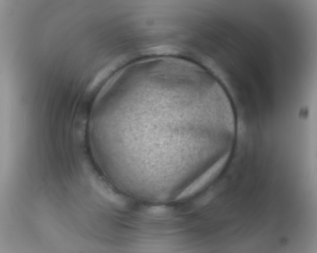 X0000110940153200907022141