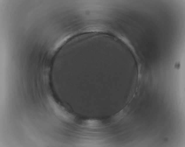 X0000110940154200907022141