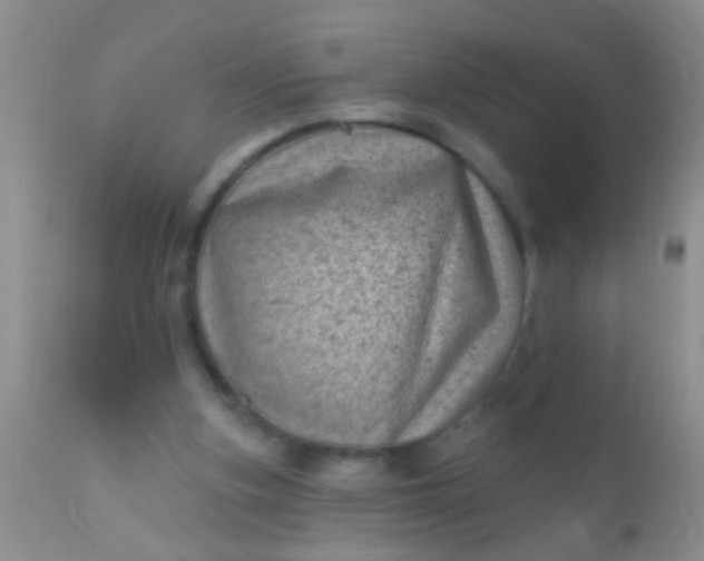 X0000110940155200907022141