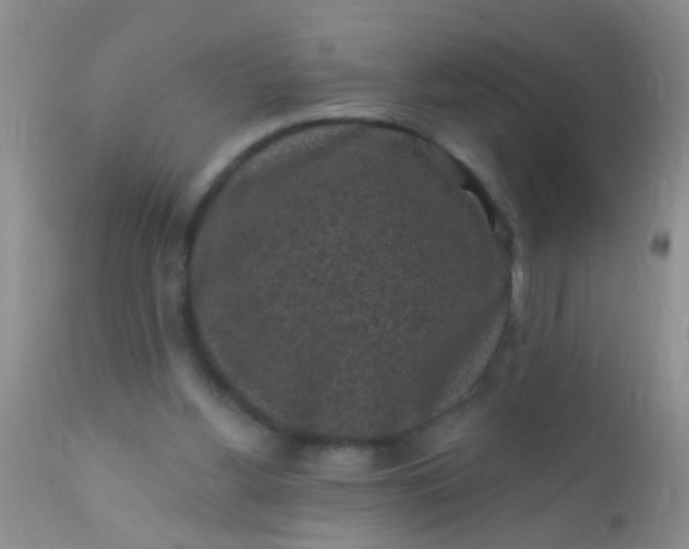 X0000110940156200907022141