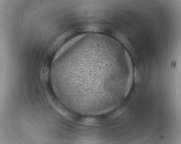 X0000110940157200907022141