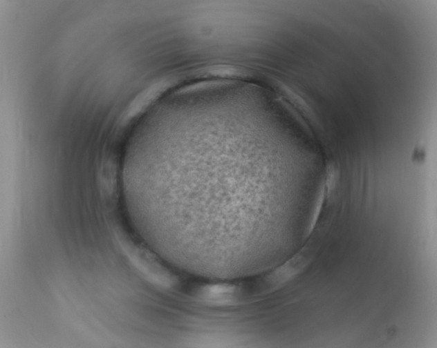 X0000110940158200907022141