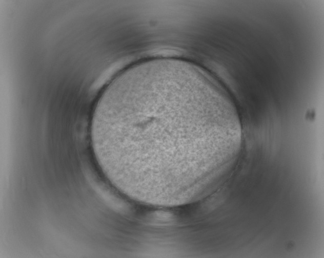 X0000110940159200907022141