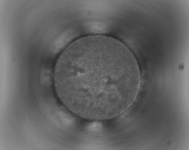 X0000110940162200907022141