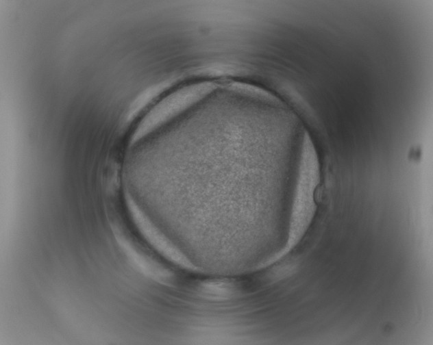 X0000110940164200907022141