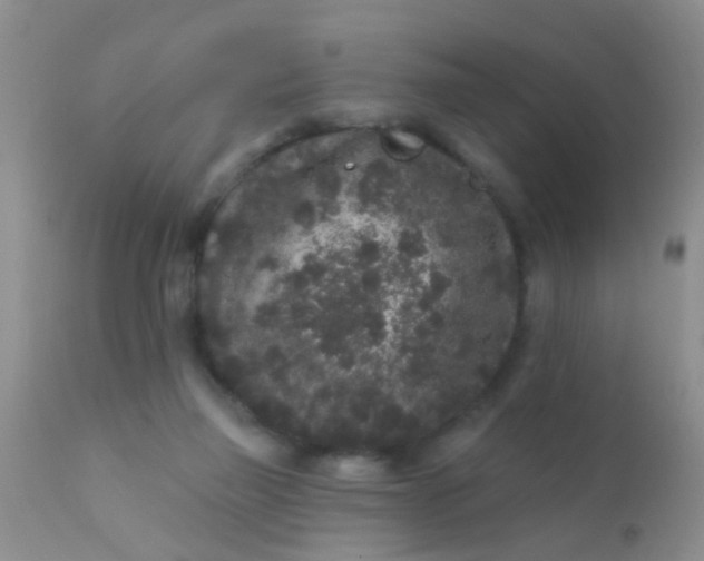 X0000110940165200907022141