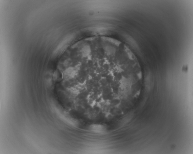 X0000110940169200907022141