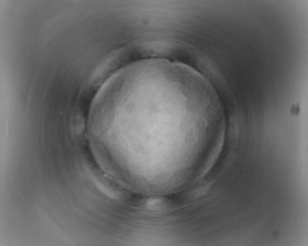 X0000110940173200907022141